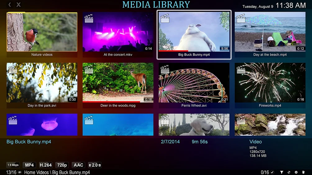 Zoom Player's Media Library
